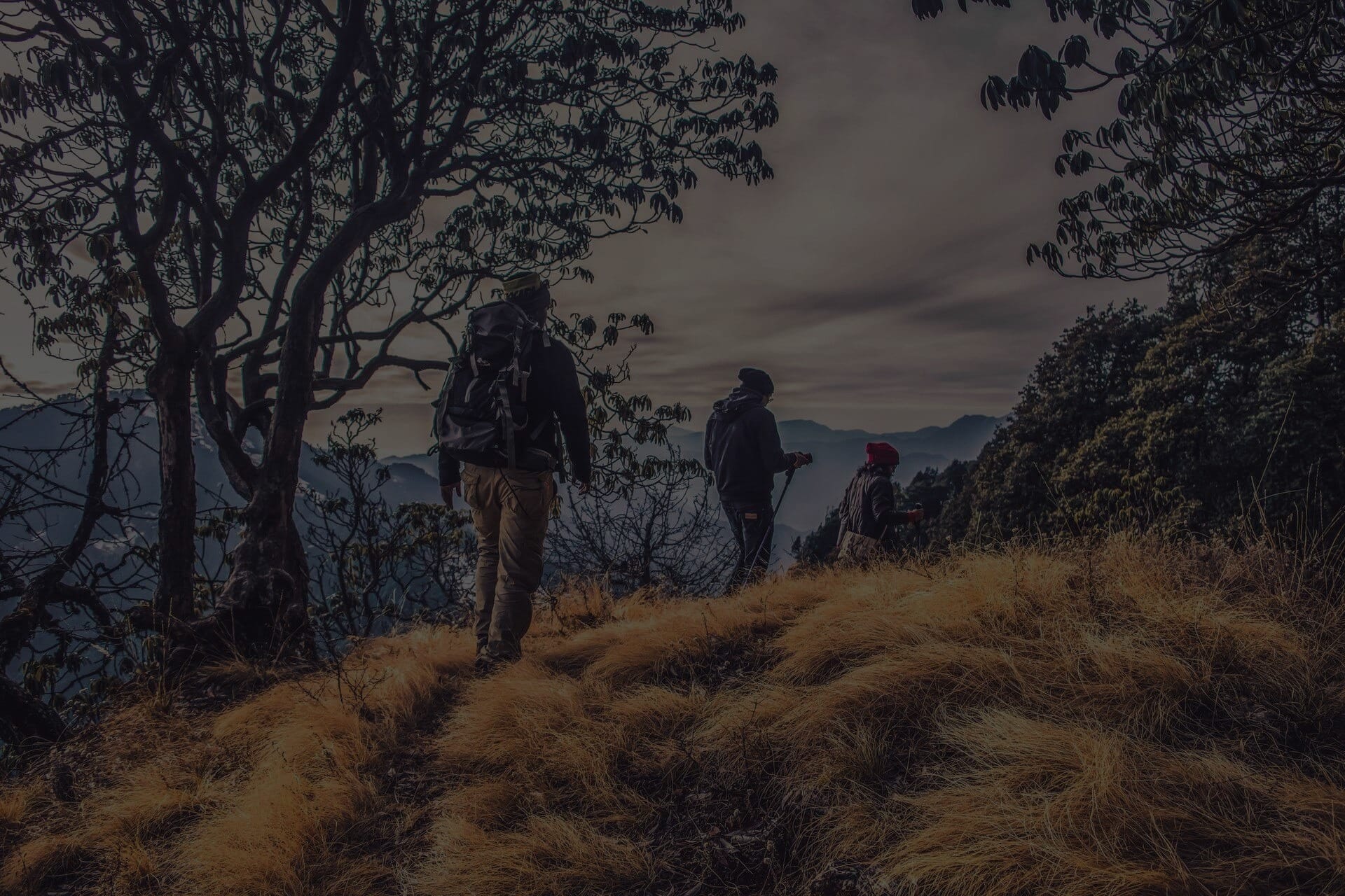 Recreational Trips for wellbeing